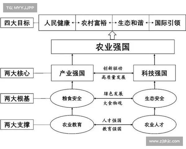 深耕精品化战略的四个核心要素及其实践路径分析 深耕精品化战略的四个核心要素及其实践路径分析
