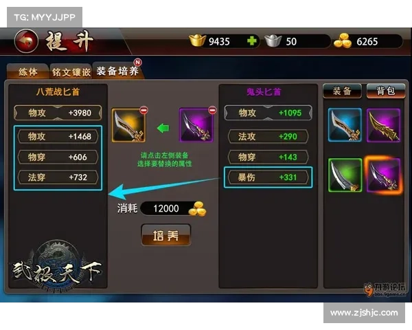 御龙在天CDKey使用攻略与优化建议详细解析